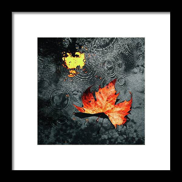 Autumn Framed Print featuring the photograph Dropped by Iryna Goodall