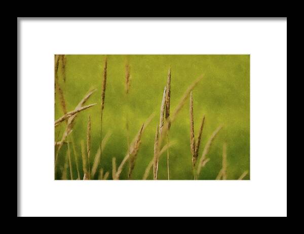 Wheat Framed Print featuring the photograph Drowning in the Wheat by Andrea Kollo