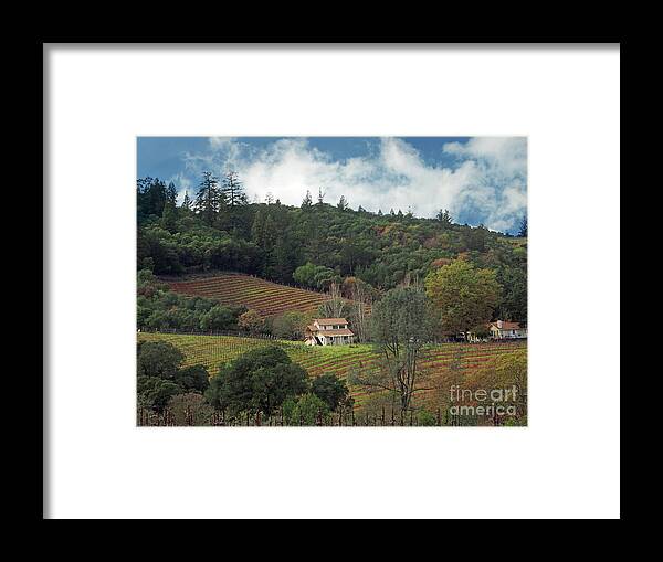 Dry Creek Valley Framed Print featuring the photograph Dry Creek Valley Vineyard by Jacklyn Duryea Fraizer