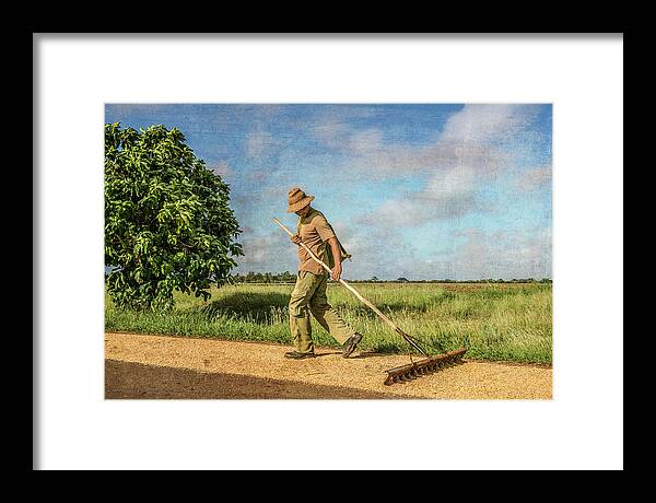 Architectural Photographer Framed Print featuring the photograph Drying Rice by Lou Novick