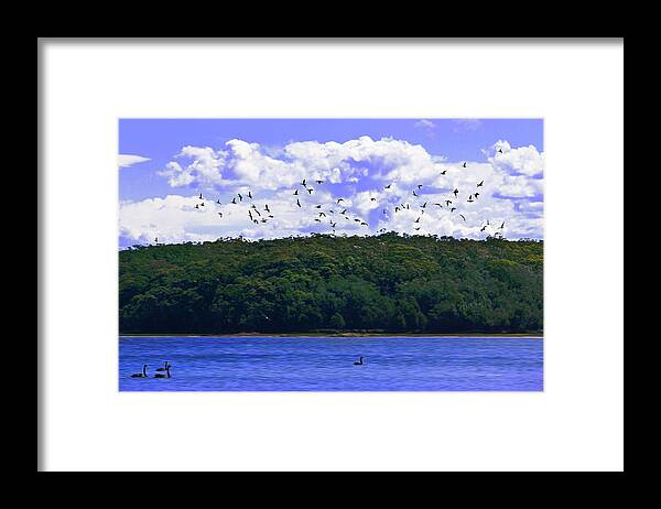 Duck Framed Print featuring the photograph Duck Flying Over The Lake by Miroslava Jurcik