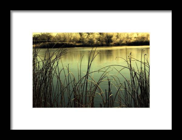 Hoar Frost Framed Print featuring the photograph Early Morning Duck Hunting by Marilyn Hunt