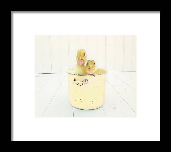 Duck Photography Framed Print featuring the photograph Duck Soup - Yellow Version by Amy Tyler