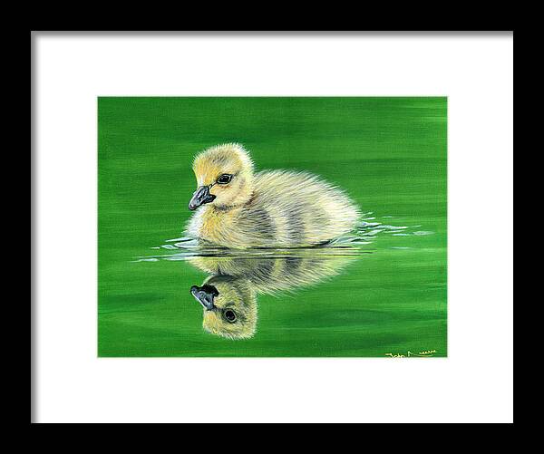 Duckling Framed Print featuring the painting Duckling by John Neeve