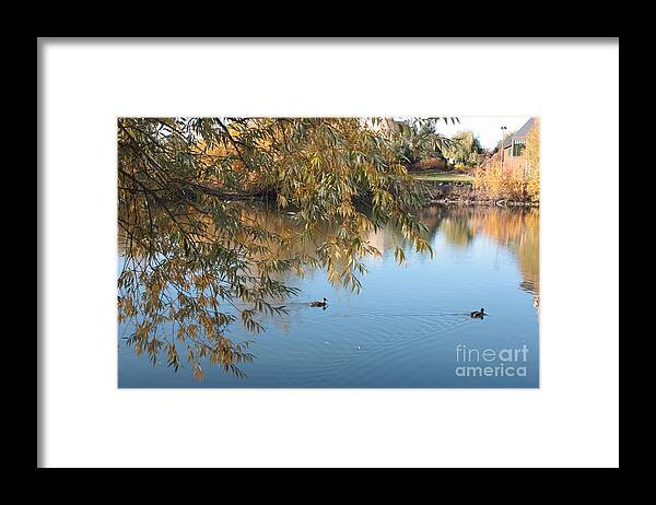 Autumn Ducks Framed Print featuring the photograph Ducks on Peaceful Autumn Pond by Carol Groenen