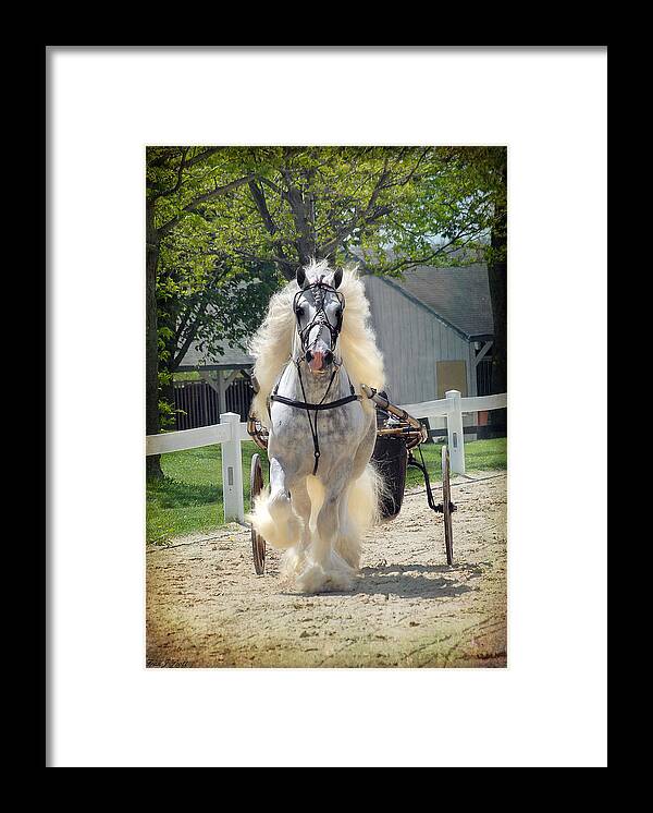 Horses Framed Print featuring the photograph Dunbrody Drive by Fran J Scott