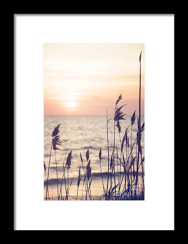 Dune Grass Framed Print featuring the photograph Dune Grass in the Sunset by Debra Fedchin