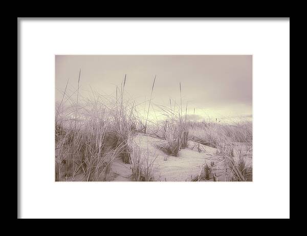 2016 Framed Print featuring the photograph Dune Grass by Kate Hannon
