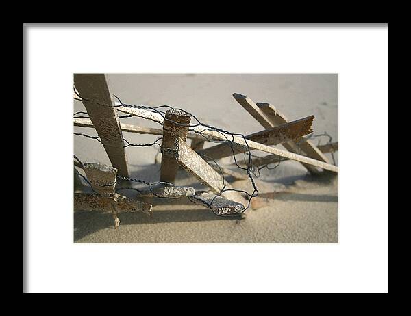 Seascape Framed Print featuring the photograph Dunefence by Mary Haber