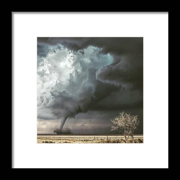 Eads Framed Print featuring the photograph Eads by Lena Sandoval-Stockley