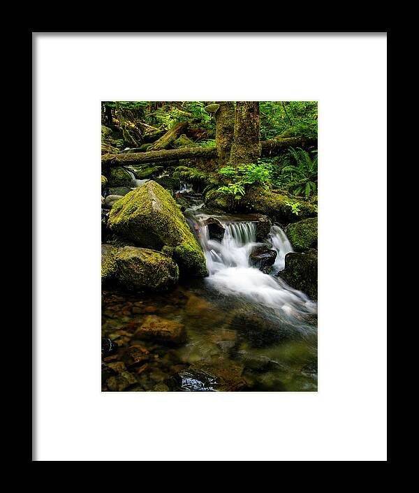 Landscapes Framed Print featuring the photograph Eagle Creek Cascade by Steven Clark