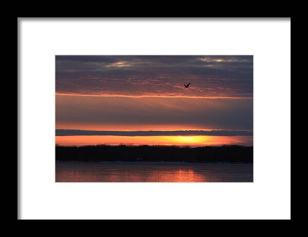 Mississippi River Framed Print featuring the photograph Eagle over Mississippi by Dave Clark