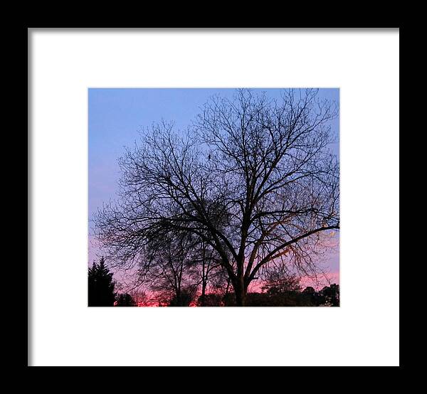 Framed Print featuring the photograph Eagle Over Sunset by Digital Art Cafe