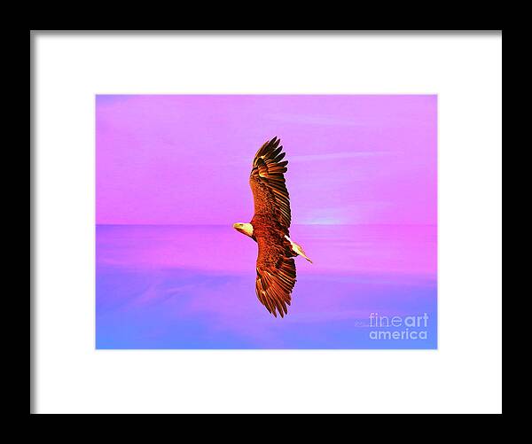 Eagle Framed Print featuring the painting Eagle Series Painterly by Deborah Benoit