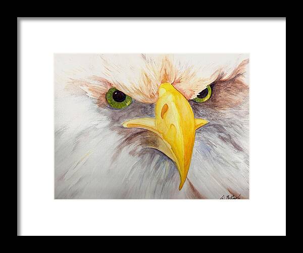 Eagle Framed Print featuring the painting Eagle Stare by Eric Belford