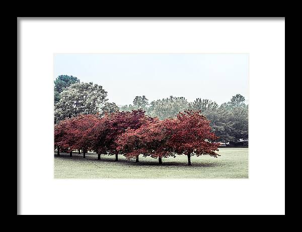 Fall Framed Print featuring the photograph Early Fall by Carlee Ojeda