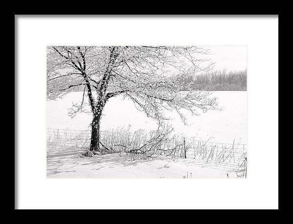 Canada Framed Print featuring the photograph Early Frost by Doug Gibbons