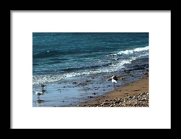 Water Framed Print featuring the photograph Early morning Dorset by Stephen Melia