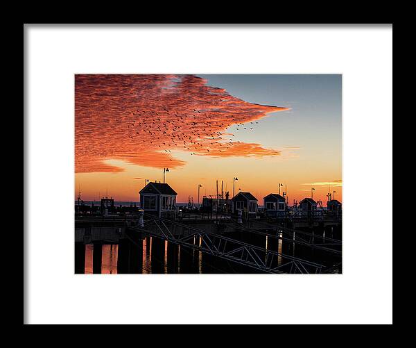 Provincetown Framed Print featuring the photograph Early Orange by Ellen Koplow