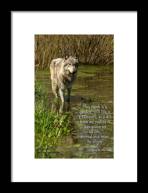 Wolf Framed Print featuring the photograph Earth is a Garden for All by Shari Jardina