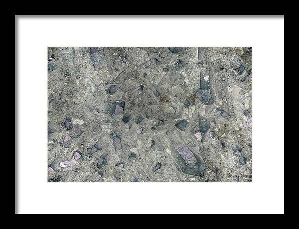 Macro Framed Print featuring the photograph Earth Portrait 158 by David Waldrop