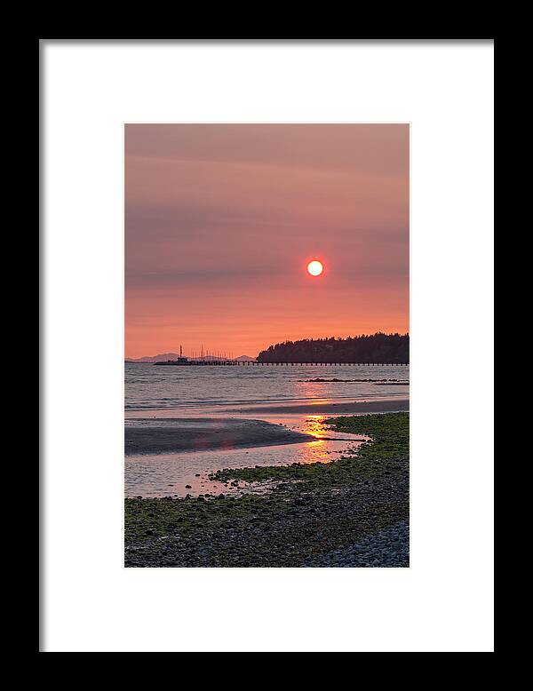 Algae Framed Print featuring the photograph East Beach Sunset by Michael Russell