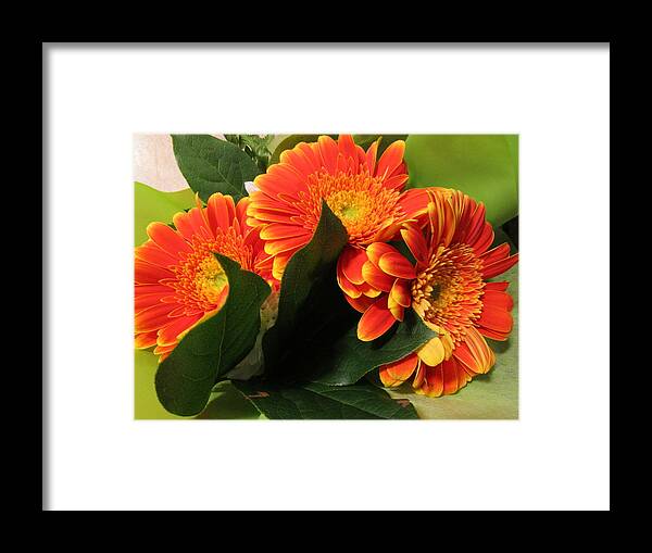 Geranium Framed Print featuring the photograph Easterjoy for you all by Rosita Larsson