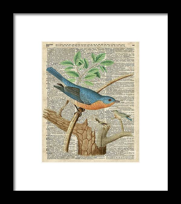 Eastern Blue Birds Framed Print featuring the digital art Eastern Blue Birds by Anna W