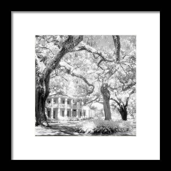 Black And White Photograph Framed Print featuring the photograph Eden Plantation A Florida State Park by John Harmon
