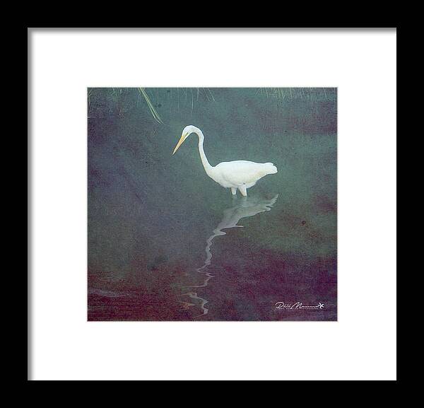  Framed Print featuring the photograph Egret Dreams by Phil Mancuso