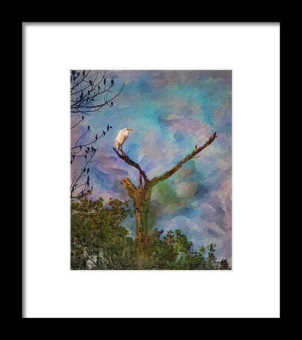 Egret Framed Print featuring the photograph Egret Tree by Sandra Schiffner