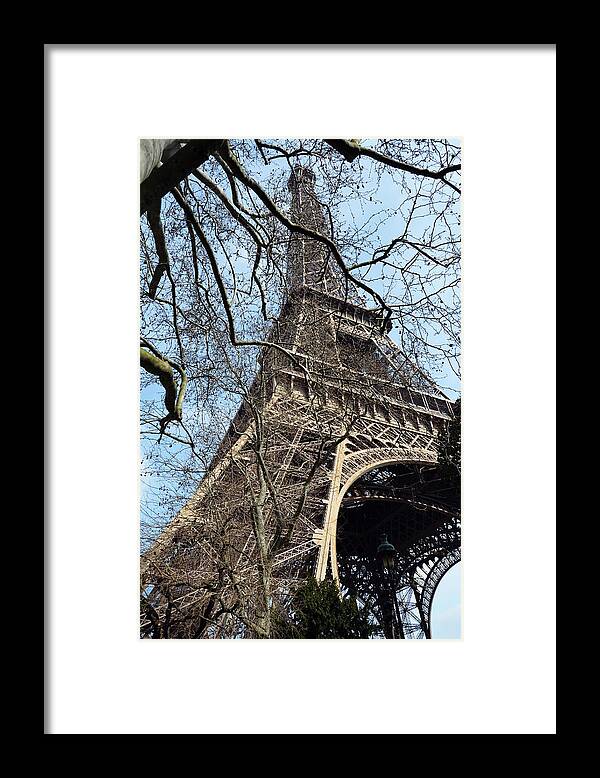 Eiffel Tower Framed Print featuring the photograph Eiffel Tower through a Myriad of Branches Paris France by Shawn O'Brien