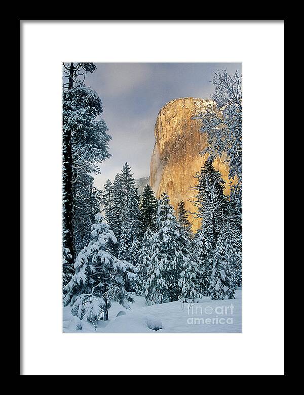 North America Framed Print featuring the photograph El Capitan on a Winter Morning Yosemite National Park California by Dave Welling