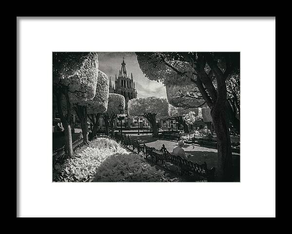 San Miguel De Allende Framed Print featuring the photograph el Jardin by Sean Foster