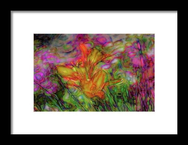 Cathy Donohoue Photography Framed Print featuring the photograph Electric Slide by Cathy Donohoue