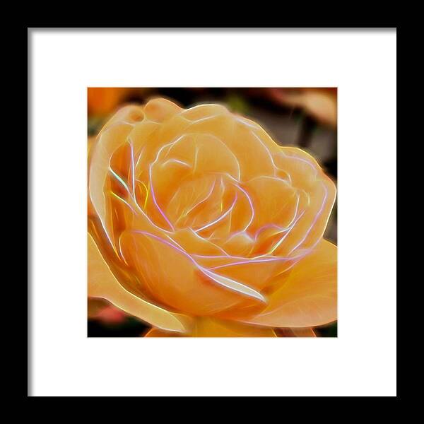 Plant Framed Print featuring the photograph Electric Yellow Rose by Michael Moriarty