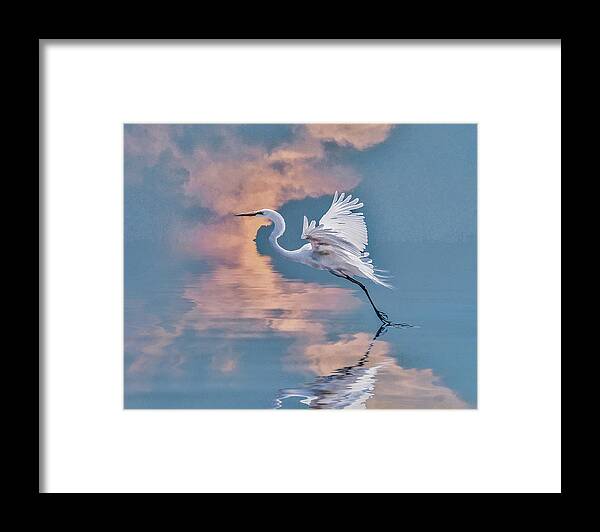 Great Egret Framed Print featuring the photograph Elegance by Brian Tarr