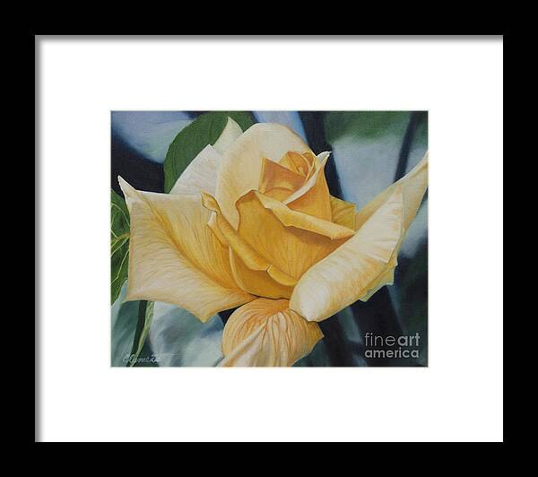 Rose Framed Print featuring the painting Elegant Beauty by Barbara Barber