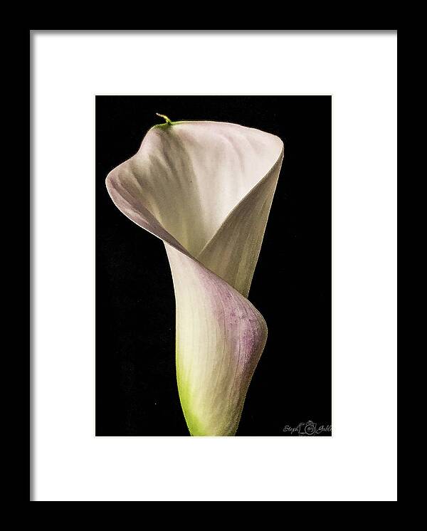 Calla Framed Print featuring the photograph Elegant Calla by Steph Gabler