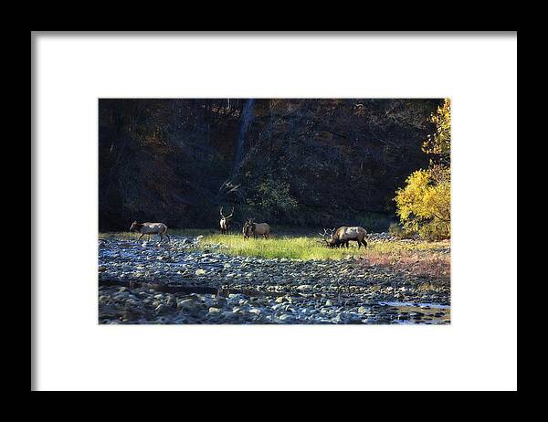 Buffalo National River Framed Print featuring the photograph Elk River Crossing at Sunrise by Michael Dougherty