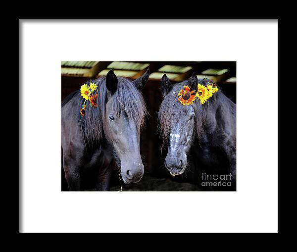 Rosemary Farm Framed Print featuring the photograph Ella and Isabelle by Carien Schippers