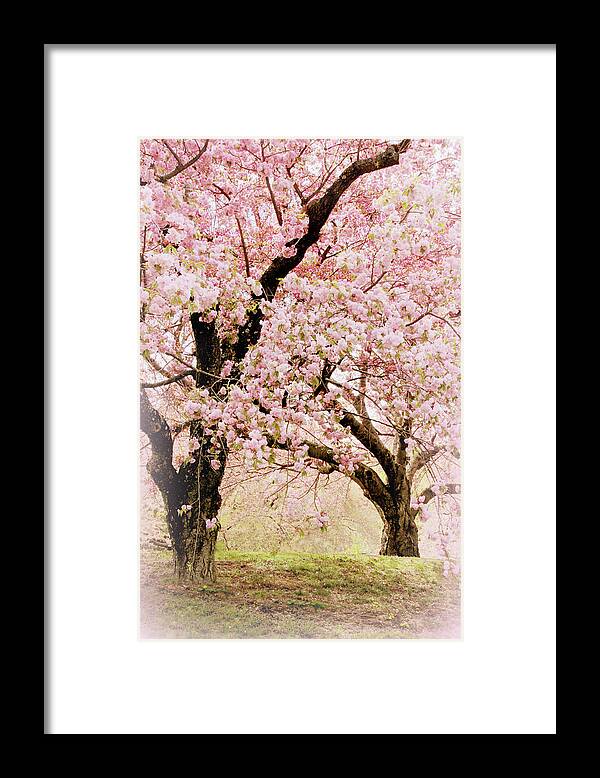 Nature Framed Print featuring the photograph Embrace of Spring by Jessica Jenney