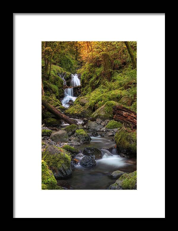 Canon Framed Print featuring the photograph Emerald in Autumn by Jon Ares