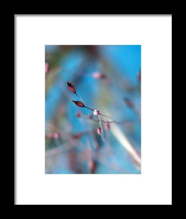 Abstract Framed Print featuring the photograph Emerge by Lauren Radke