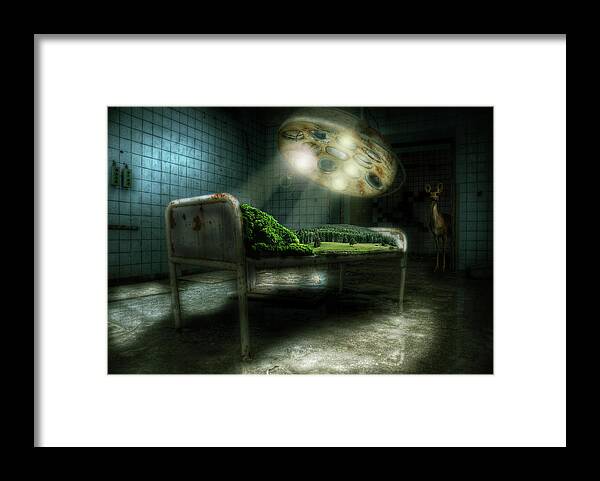 Lamp Framed Print featuring the digital art Emergency Nature by Nathan Wright