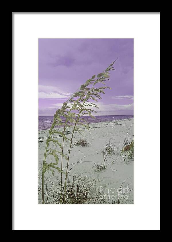 Beach Framed Print featuring the photograph Emma Kate's Purple Beach by Rachel Hannah
