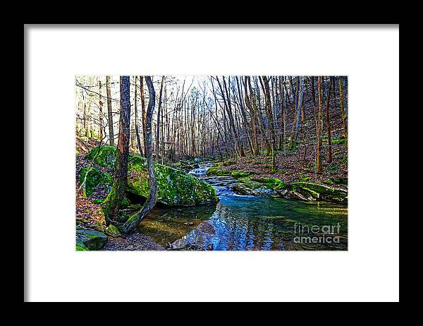 Emory Gap Branch Framed Print featuring the photograph Emory Gap Branch by Paul Mashburn