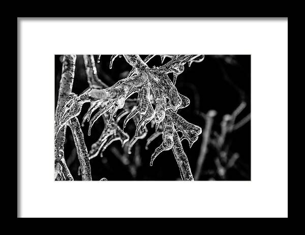 Ice Framed Print featuring the photograph Encased by Monte Arnold