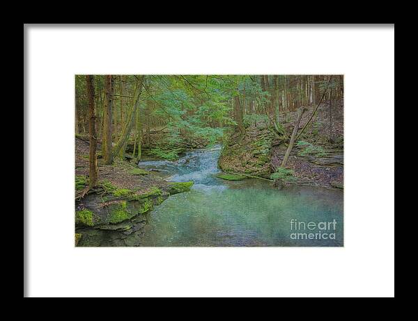 Enchanted Forest One Framed Print featuring the digital art Enchanted Forest One by Randy Steele