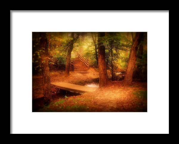 Autumn Framed Print featuring the photograph Enchanted Path - Allaire State Park by Angie Tirado